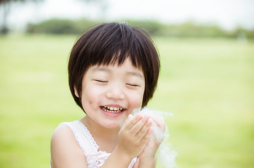 揭木棉花的功效与作用 原来它凉茶配方之一