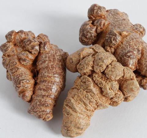 田七粉的作用有哪些 散瘀消肿降血脂