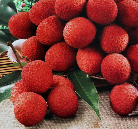 荔枝的功效与作用 哪些人不适合吃