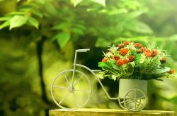 如何保护眼睛  推荐日常护眼10个小窍门