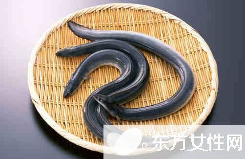 黄鳝怎么做好吃 黄鳝的营养价值