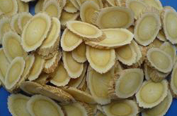 黄芪的功效与作用及食用方法