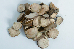 中药赤芍药的功效和作用及炮制方法