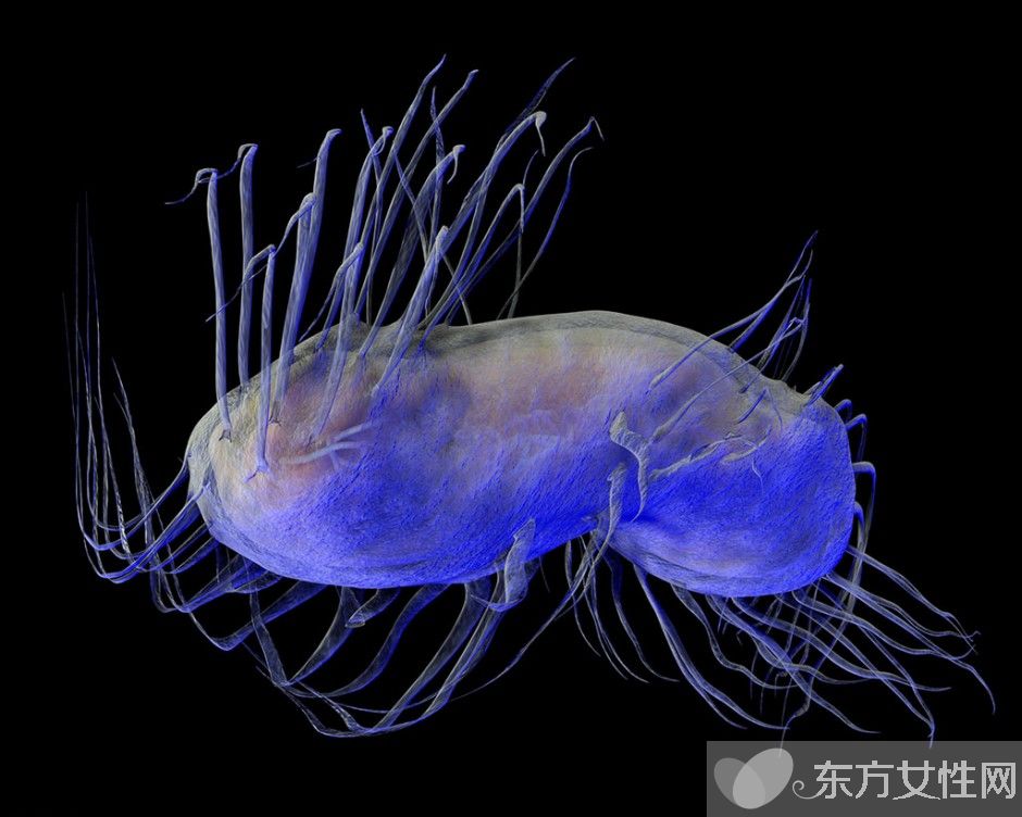 幽门螺旋杆菌感染 4大预防方法需做好