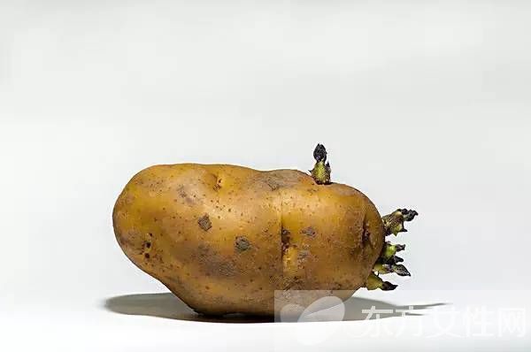 发芽的土豆能不能吃 如何预防土豆发芽