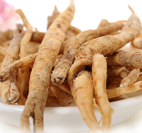 揭沙参的功效与作用 沙参怎么选购