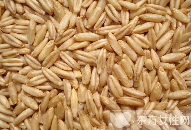 去湿气的食物有哪些 预防湿气入体的3大方法