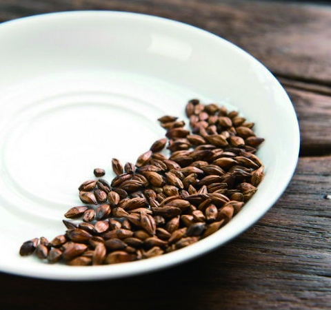 大麦茶的做法及功效作用讲解