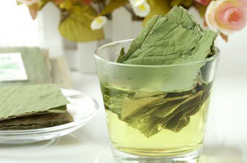 荷叶减肥茶配方   三种配方让你美颜又瘦身