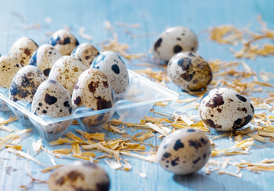 鹌鹑蛋的营养价值有哪些 3个食谱教你做出美味鹌鹑蛋