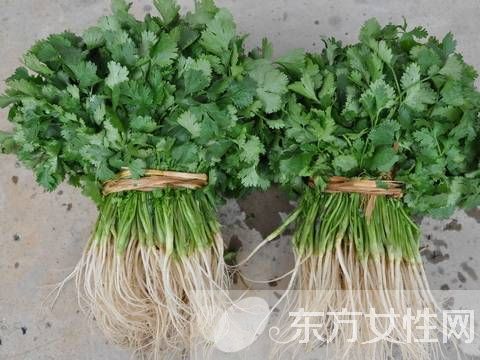 香菜煮水的功效有哪些 香菜煮水还能祛斑