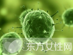 巨细胞病毒是什么 巨细胞病毒感染的症状