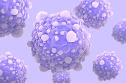 风疹病毒是什么 风疹病毒的症状有哪些