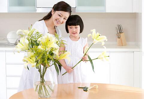 家中养什么花好 这些花即美观又舒心养生