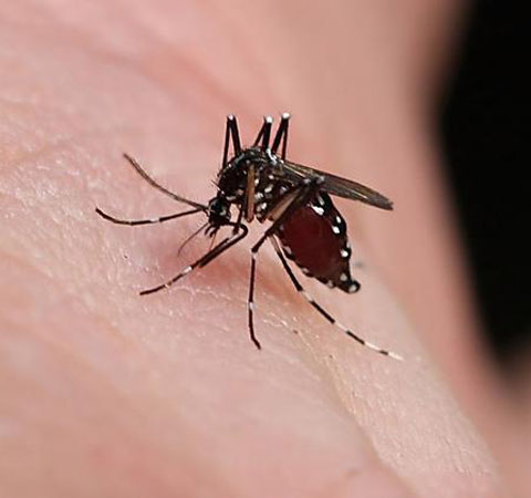 10个最实用生活小窍门 瞧瞧你知道哪几个