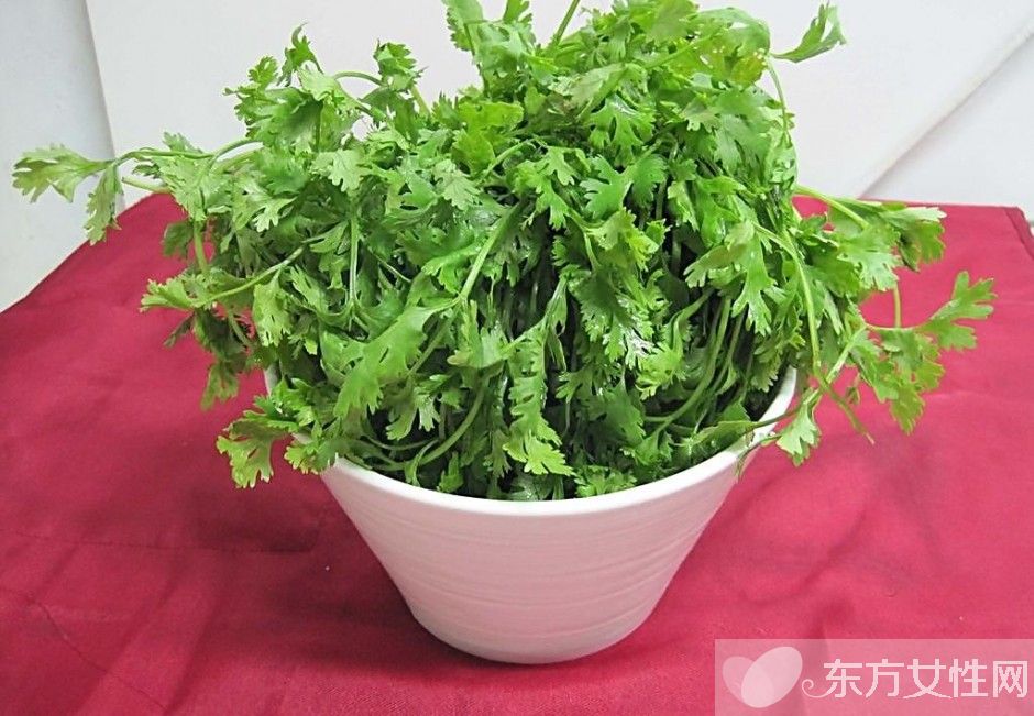 香菜的功效与作用 香菜的副作用有哪些