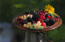 桑果的功效有哪些 体质偏寒需注意