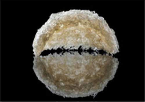 燕窝的吃法 这六种吃法有助于保健哦