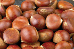 秋季吃板栗能健肾补脾 教你怎么栗子去皮