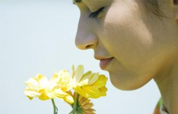 春天花粉过敏怎么办 尽量少 沾花惹草