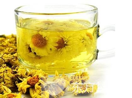 菊花茶的功效与禁忌 喝菊花茶的注意事项