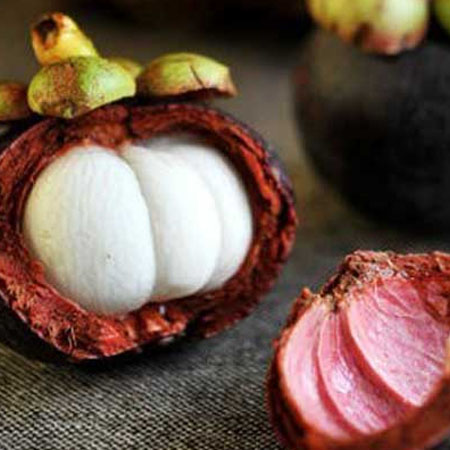 盘点山竹的食用宜忌 教你山竹怎么挑