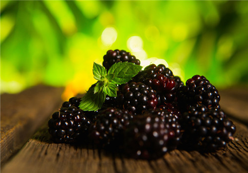 桑果的功效有哪些 体质偏寒需注意