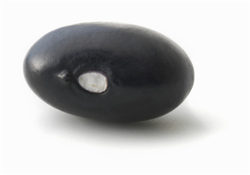 黑豆的作用有哪些 强肾固肾又美颜