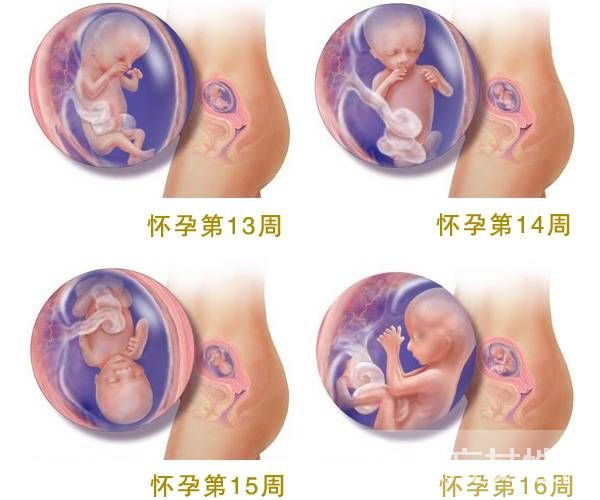 怀孕可以同房吗 两大要点告诉你