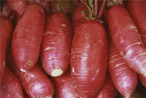 红萝卜的营养价值有哪些 它竟还有药用价值