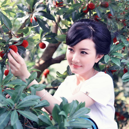 杨梅泡酒的功效有哪些 杨梅泡酒的配方