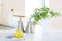 怎样去除室内异味呢 去除室内异味实用妙招