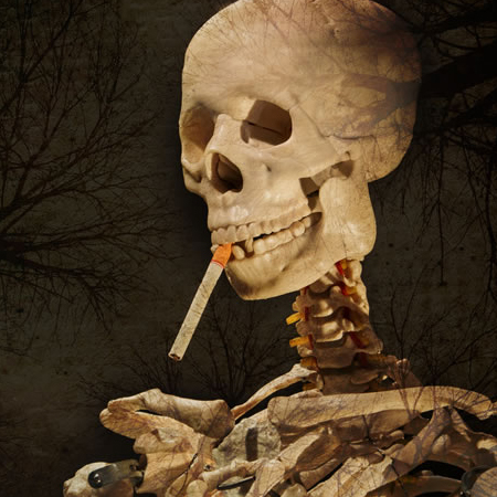 饮食与健康知识大全 不可不知的生活饮食常识