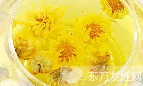 菊花茶的功效与禁忌 喝菊花茶的注意事项