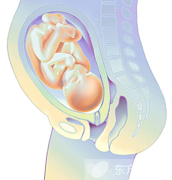 怀孕可以同房吗 两大要点告诉你