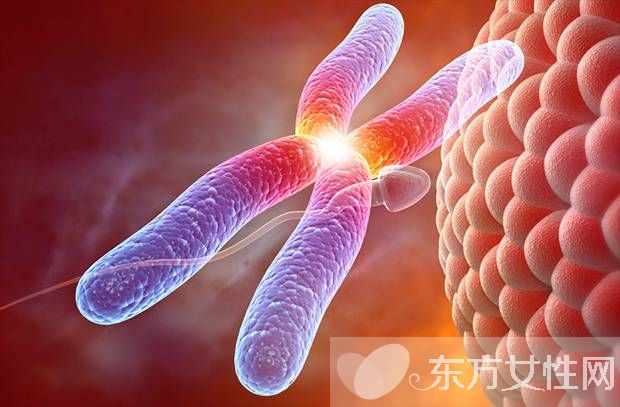 什么是染色体核型分析 染色体核型分析报告怎么看