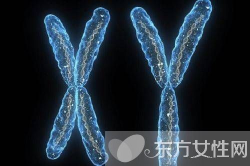 什么是染色体检查 如何降低染色体异常几率