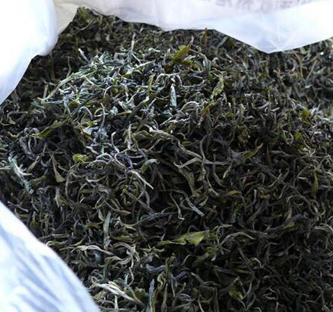 运动鞋如何除臭 运动鞋除臭最有效的小妙招