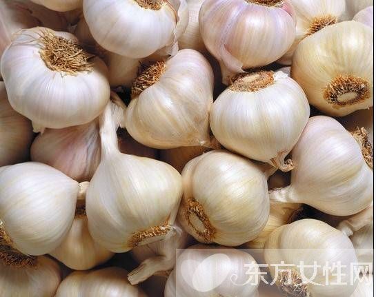 夏天野外室内驱蚊方法 几个妙招令蚊子消失的无影踪