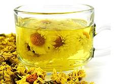 菊花茶的功效与禁忌 喝菊花茶的注意事项