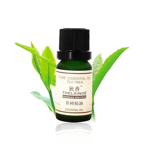 茶树精油的功效与作用 茶树精油的四大使用方法