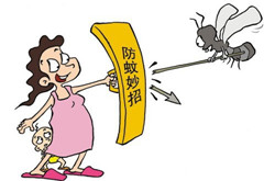 夏季靠谱的防蚊妙招 你还不赶紧学起来