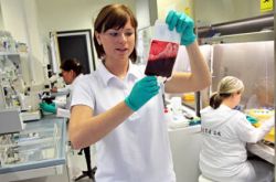 脐带血有必要保存吗 这些误区很多家长都不知道