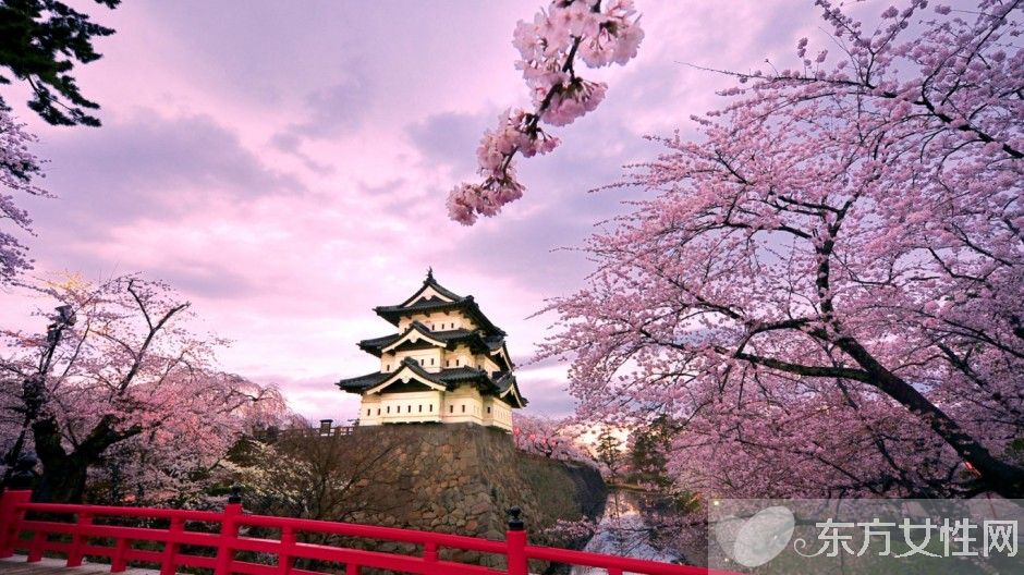 樱花的花语是什么 樱花的爱情传说是怎样的