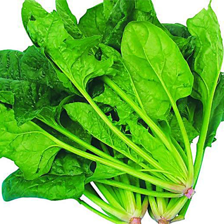 夜盲症是缺什么引起的 夜盲症吃什么好