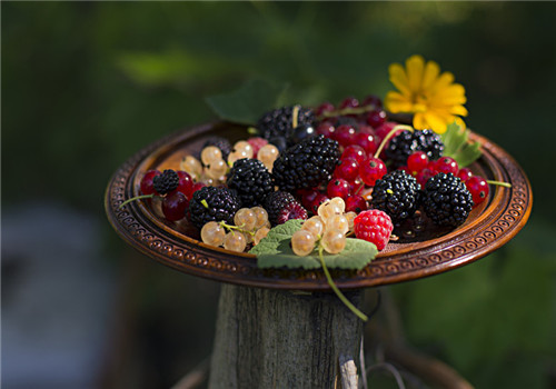 桑果的功效有哪些 体质偏寒需注意