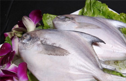 鲳鱼的营养价值和食用功效都有哪些