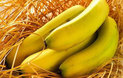 忌空腹吃香蕉 吃香蕉牢记三禁忌