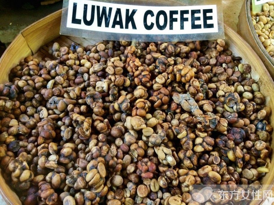 猫屎咖啡的由来 猫屎咖啡怎么泡