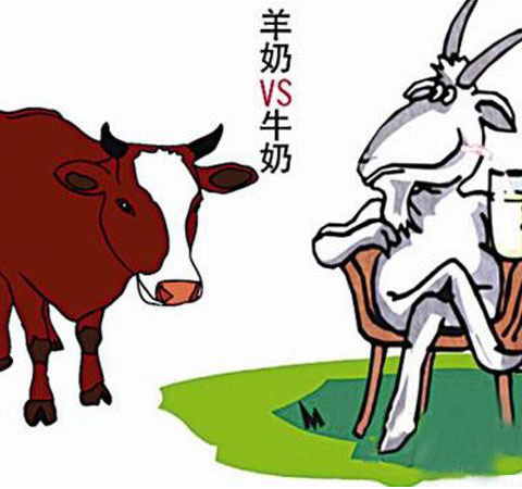 羊奶好还是牛奶好 两种奶三个特点分析